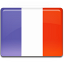 Vlag van Frans Guyana