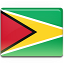 Vlag van Guyana