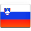 Vlag van Slovenie